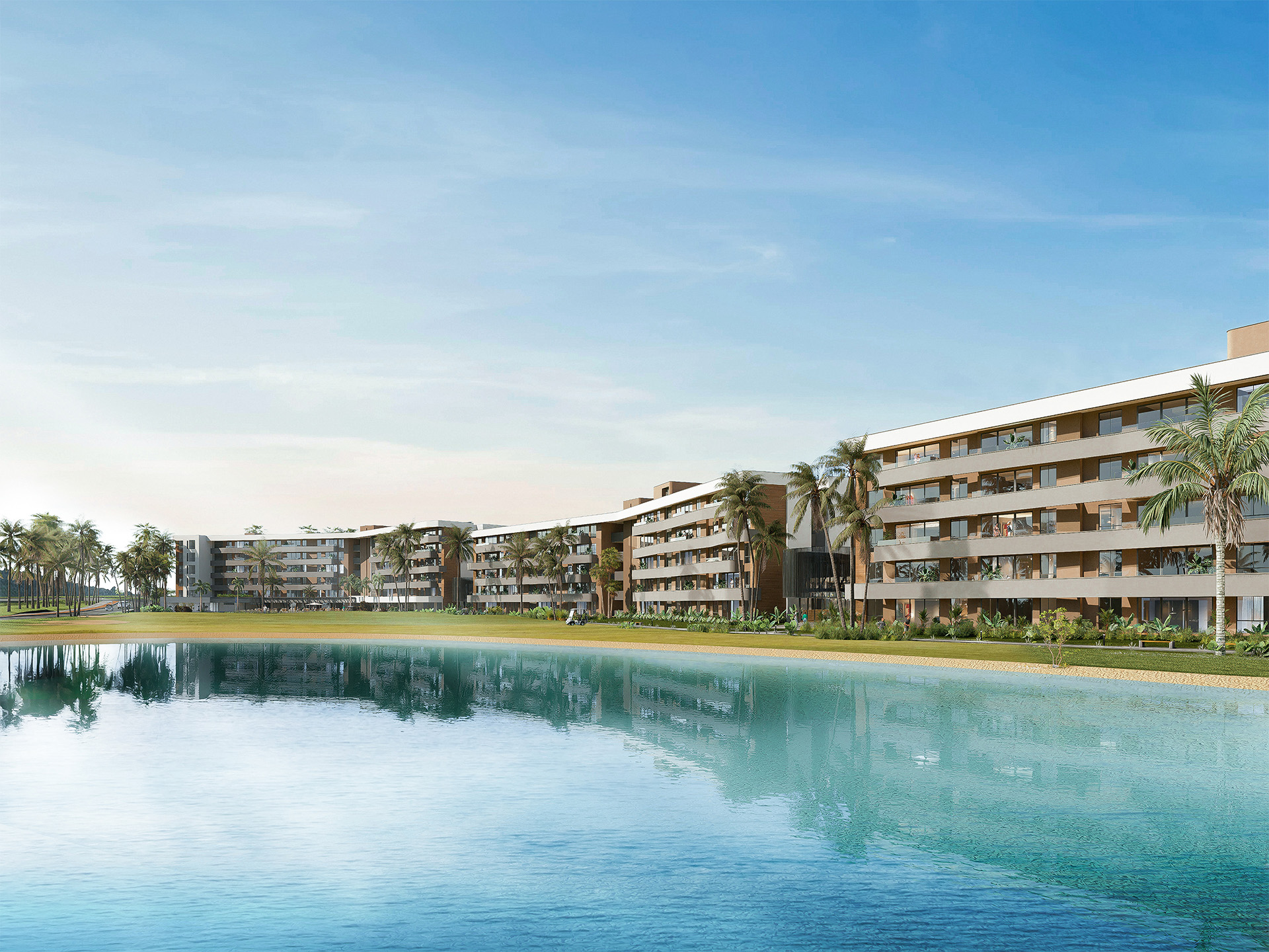 PALM VIEW